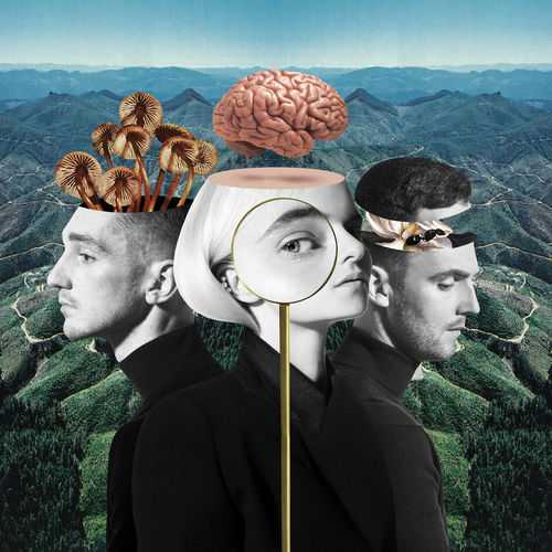 Clean Bandit Ft. Charli XCX & Bhad Bhabie - Playboy Style